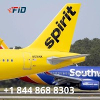   Spirit Airlines Flight Booking 1 844 868 8303